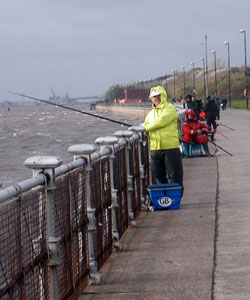 The venue at Otterspool